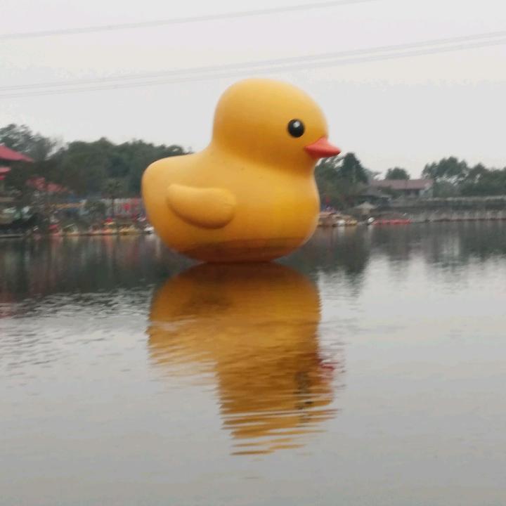 用户087149
