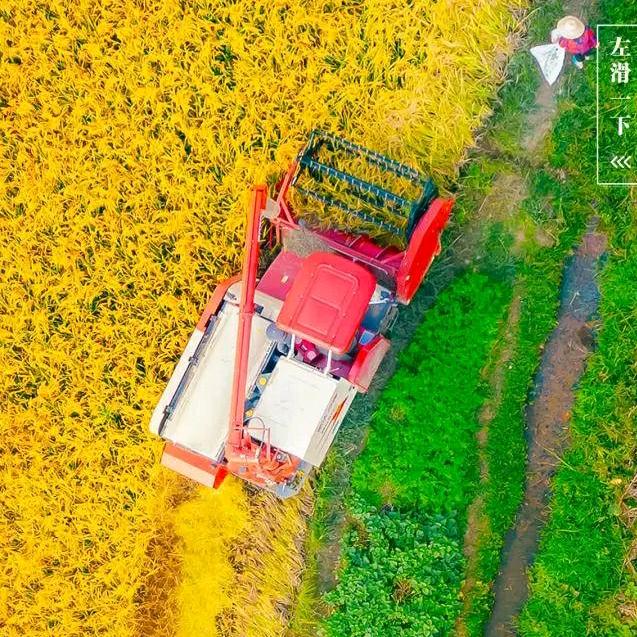 🌙兜兕哚哚🌈