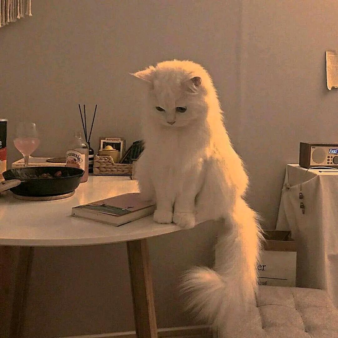 我是快乐一生