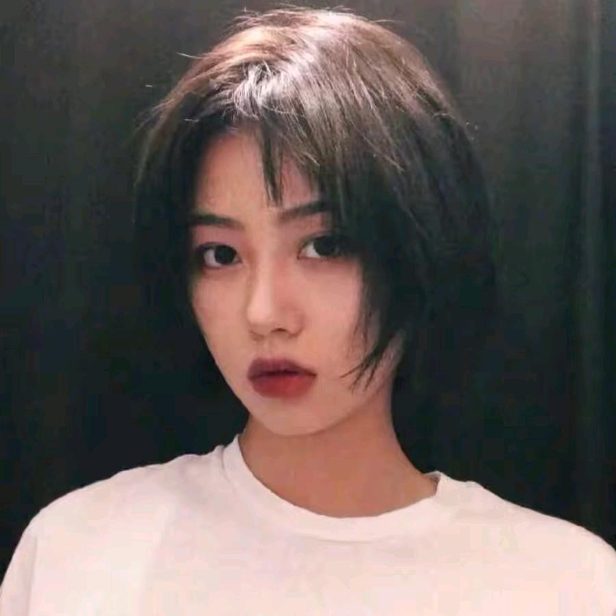 泪的狗酱