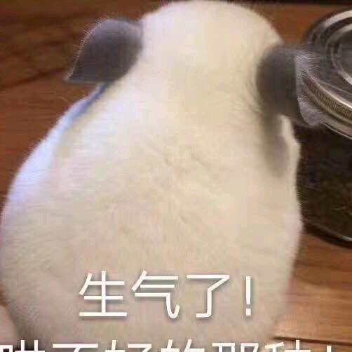 贤娃子