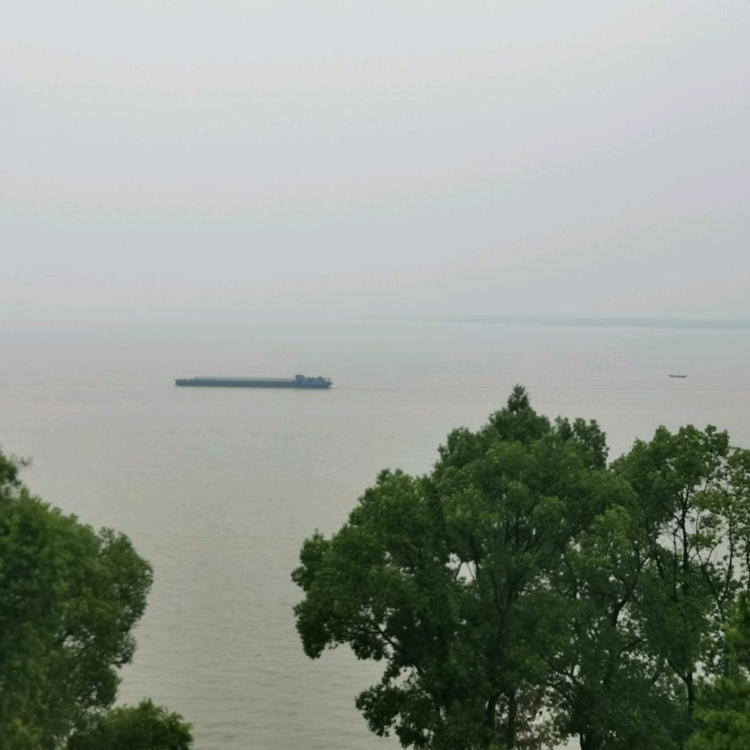 医路天道