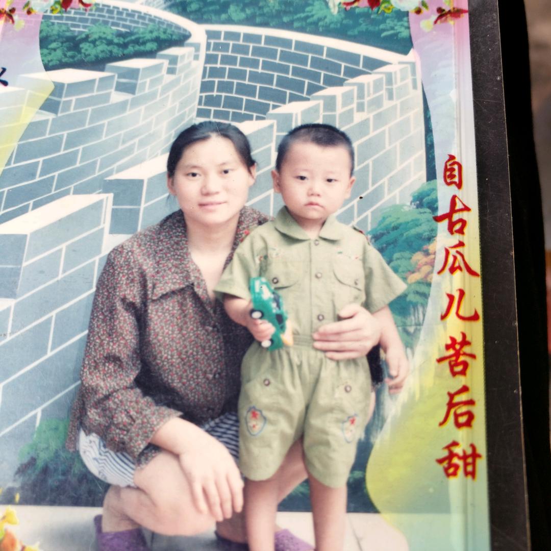 金凤凰一蔡名凤