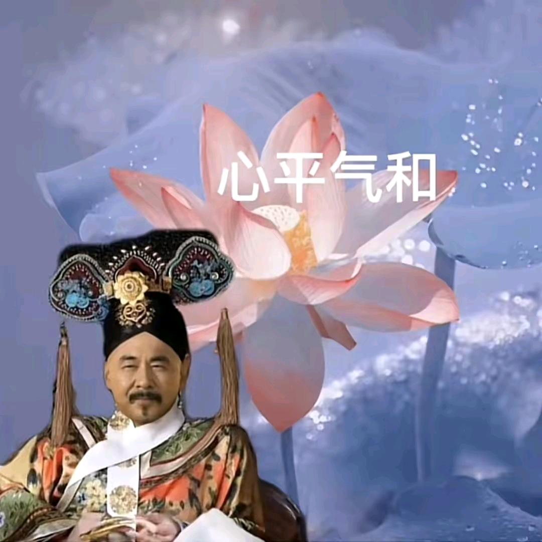 Yee⑦咩咩