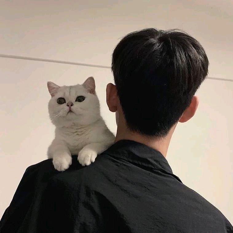 要吃早饭啊