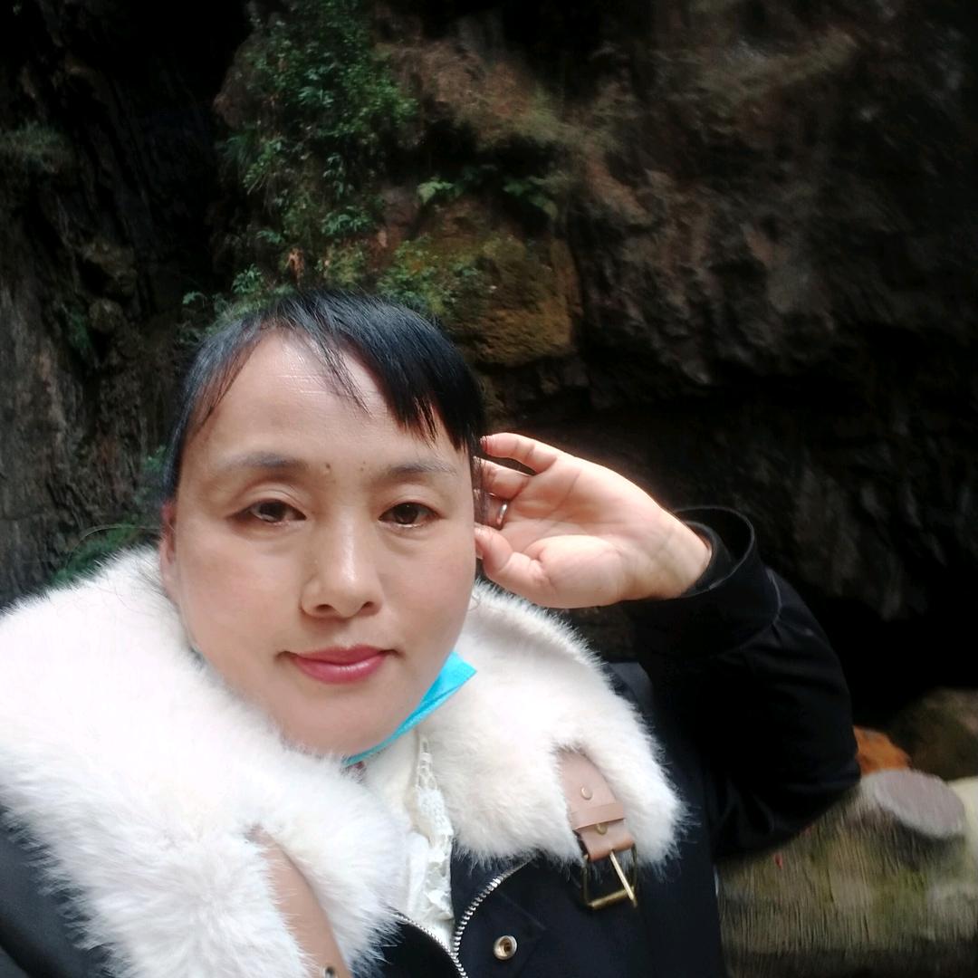 奋斗的小鸟