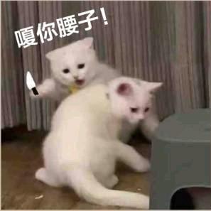 独♂白