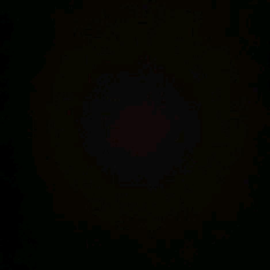 💞橙~橙💞