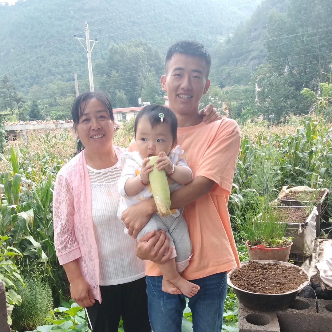 我是夏姐