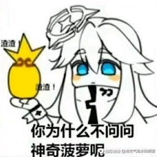屠哥在保守