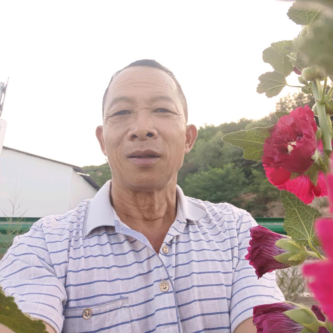 这个平台适合相遇 ...