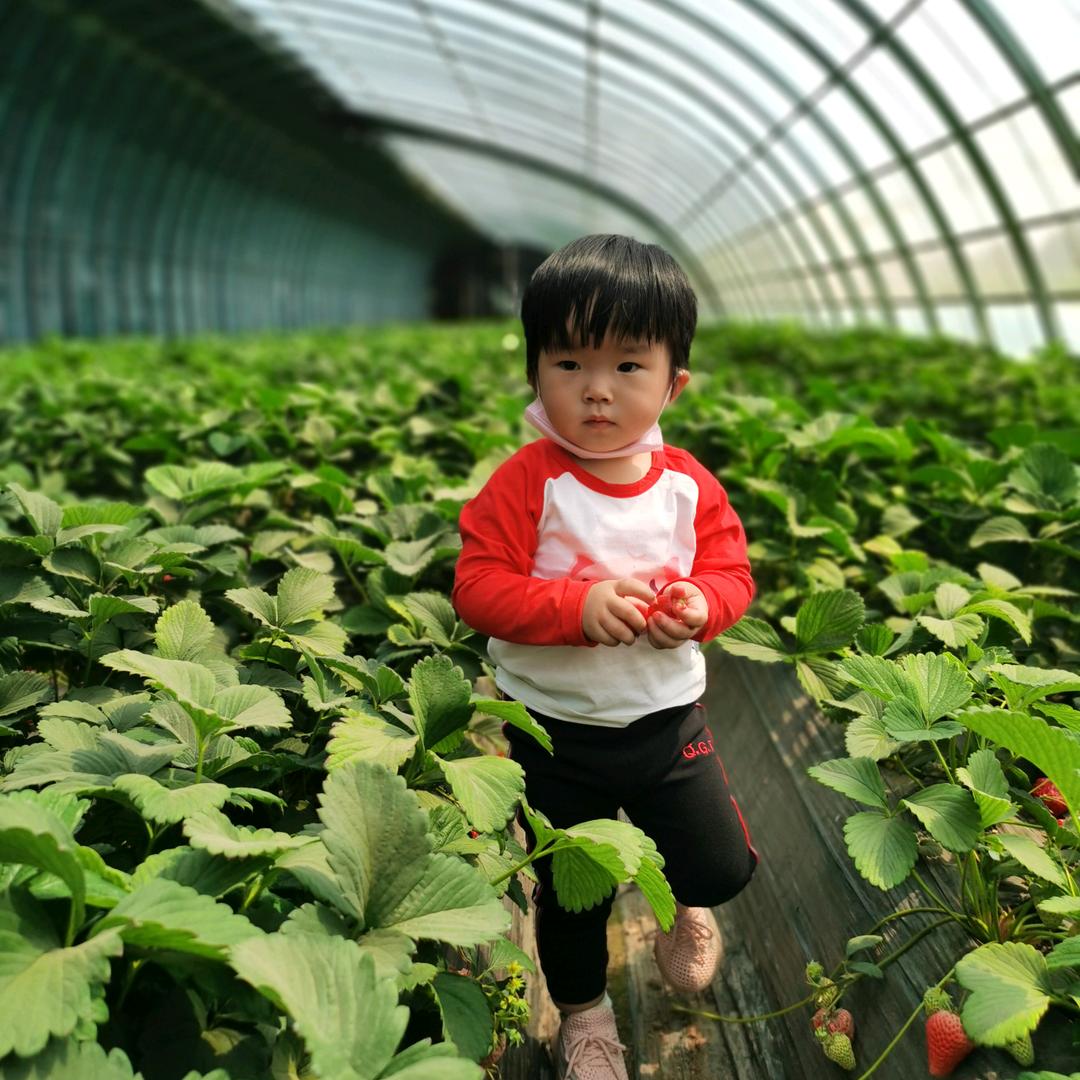 一般不笑～除非没忍住