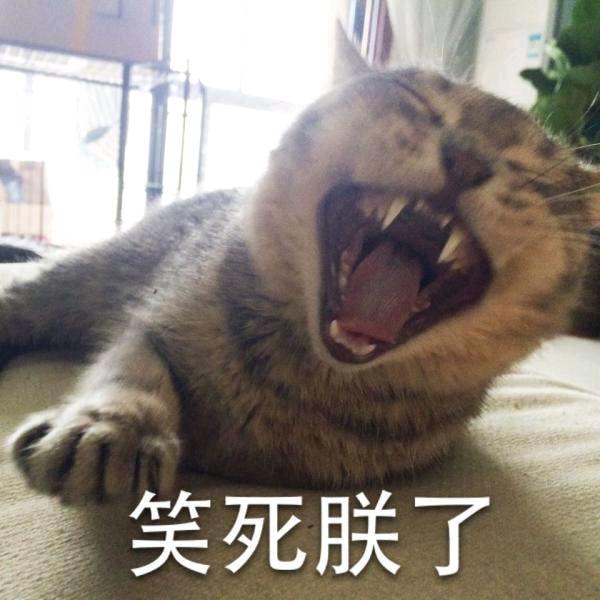 搞笑（熊哥）