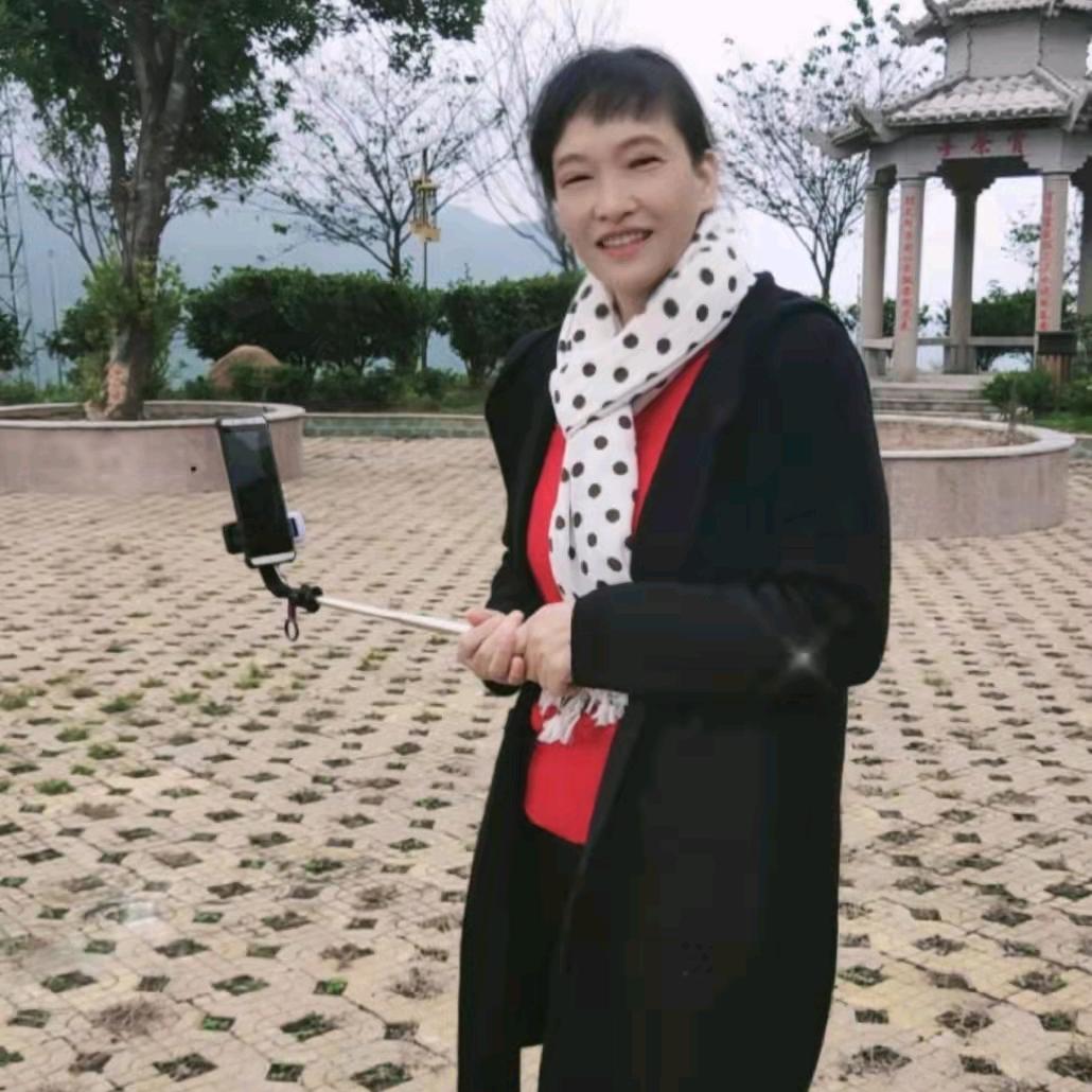 韦美仕