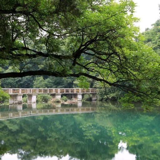 花溪影馆