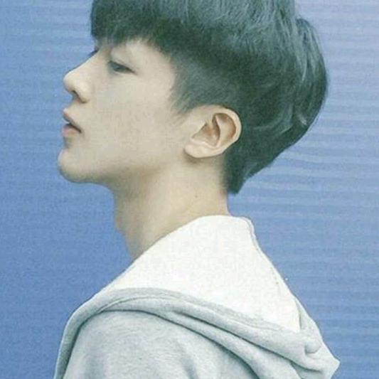爱慕的叶子