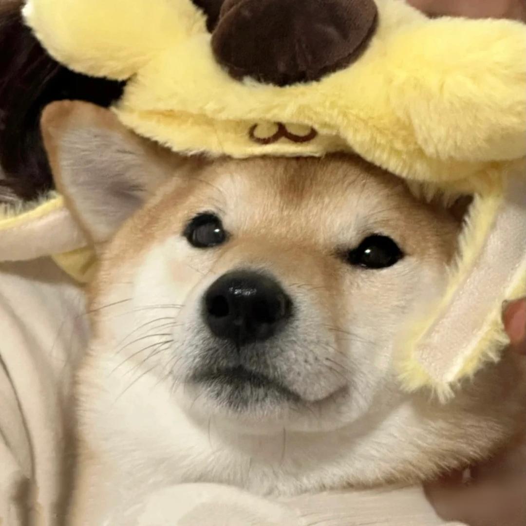 小陈...