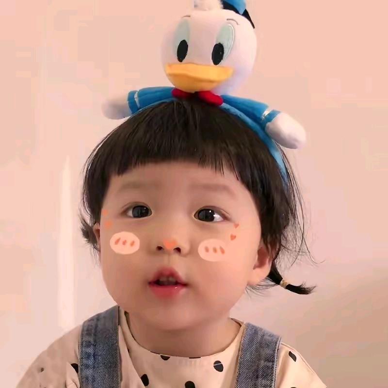 蓝桉·