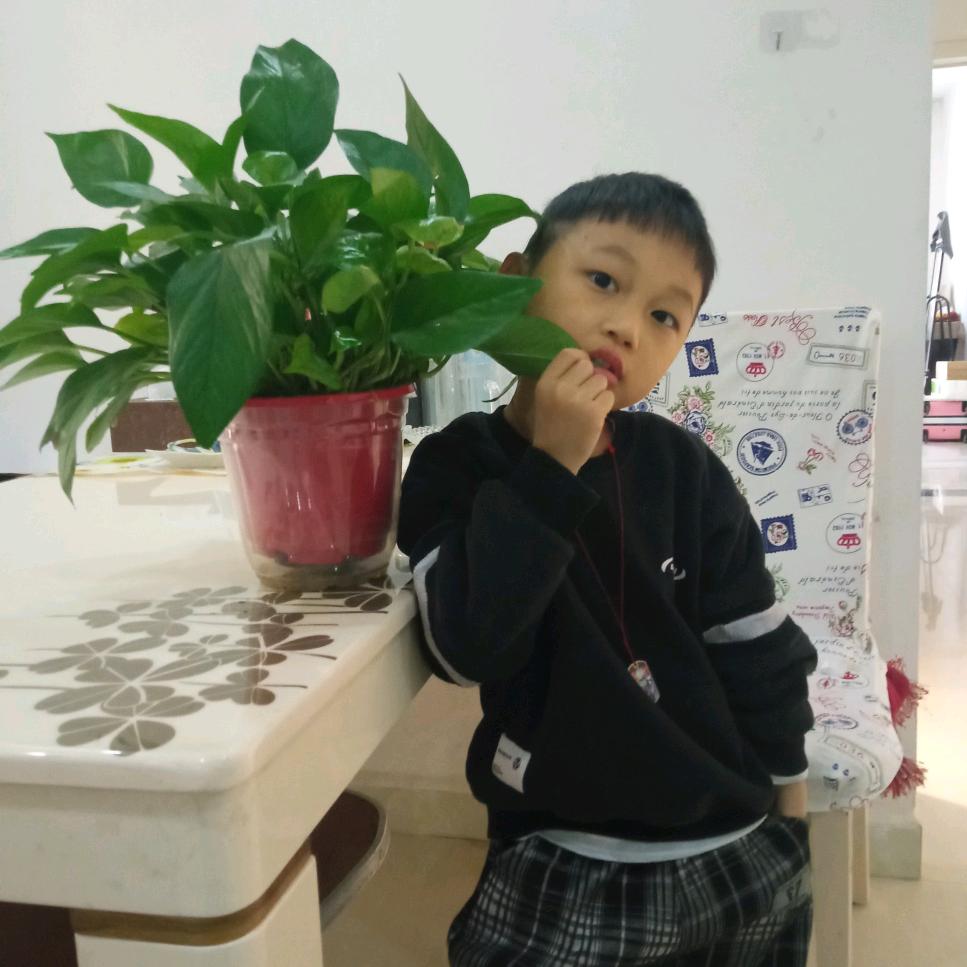 小土豆的成长记录