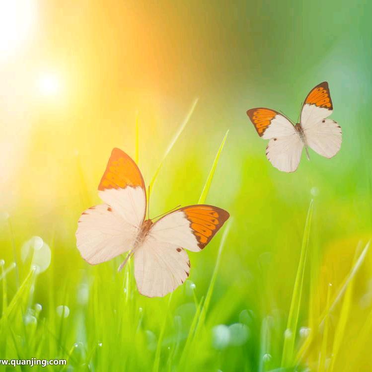 滕州万达孩子王基诺浦专柜