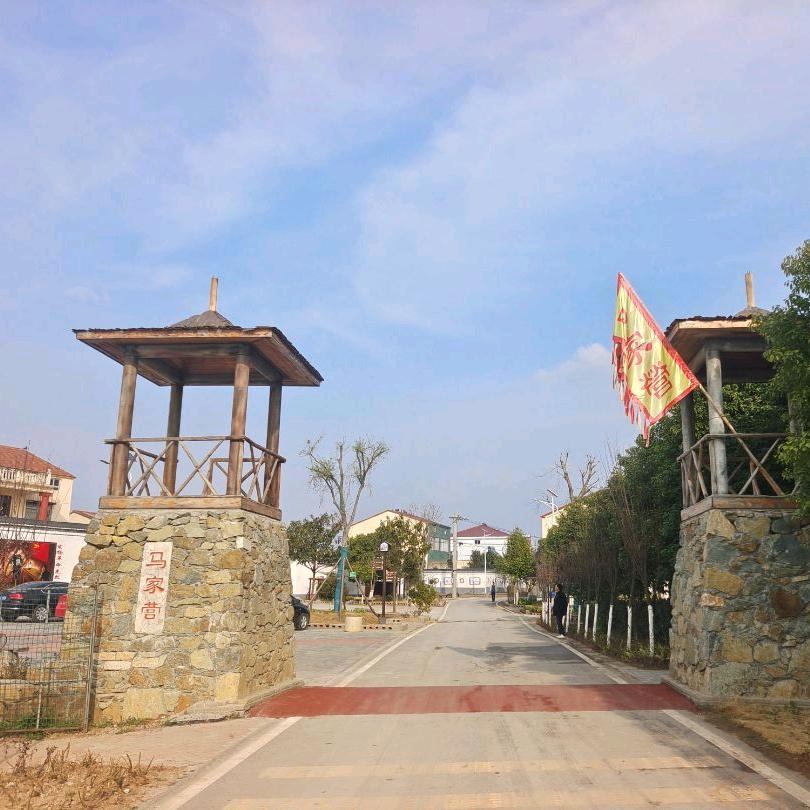 枣阳惠岗马家营直播基地
