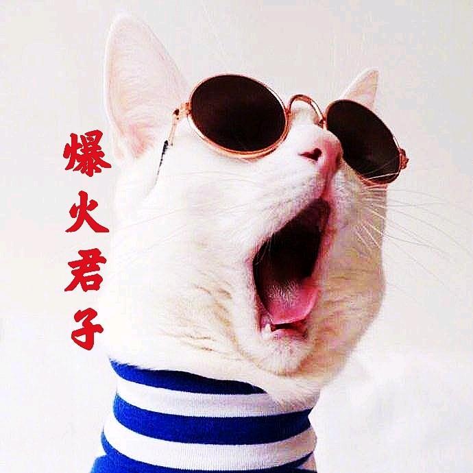 爆火君子