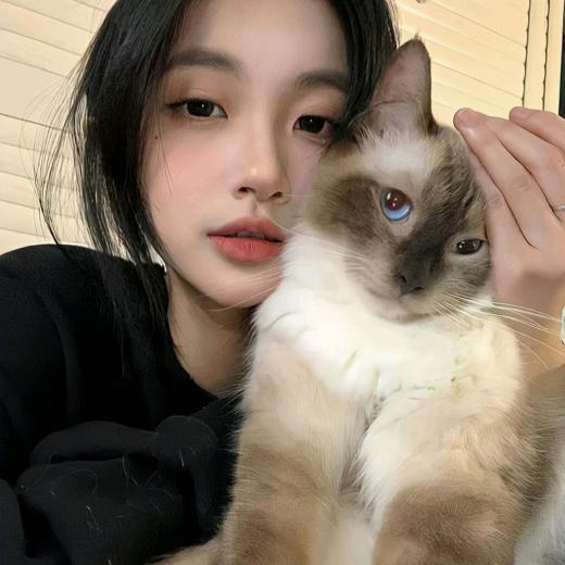 画大饼