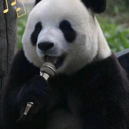 熊