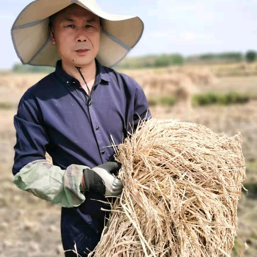 老闫五常大米