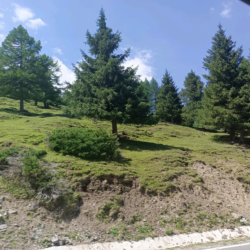 o-┈→藞銑玍℡~