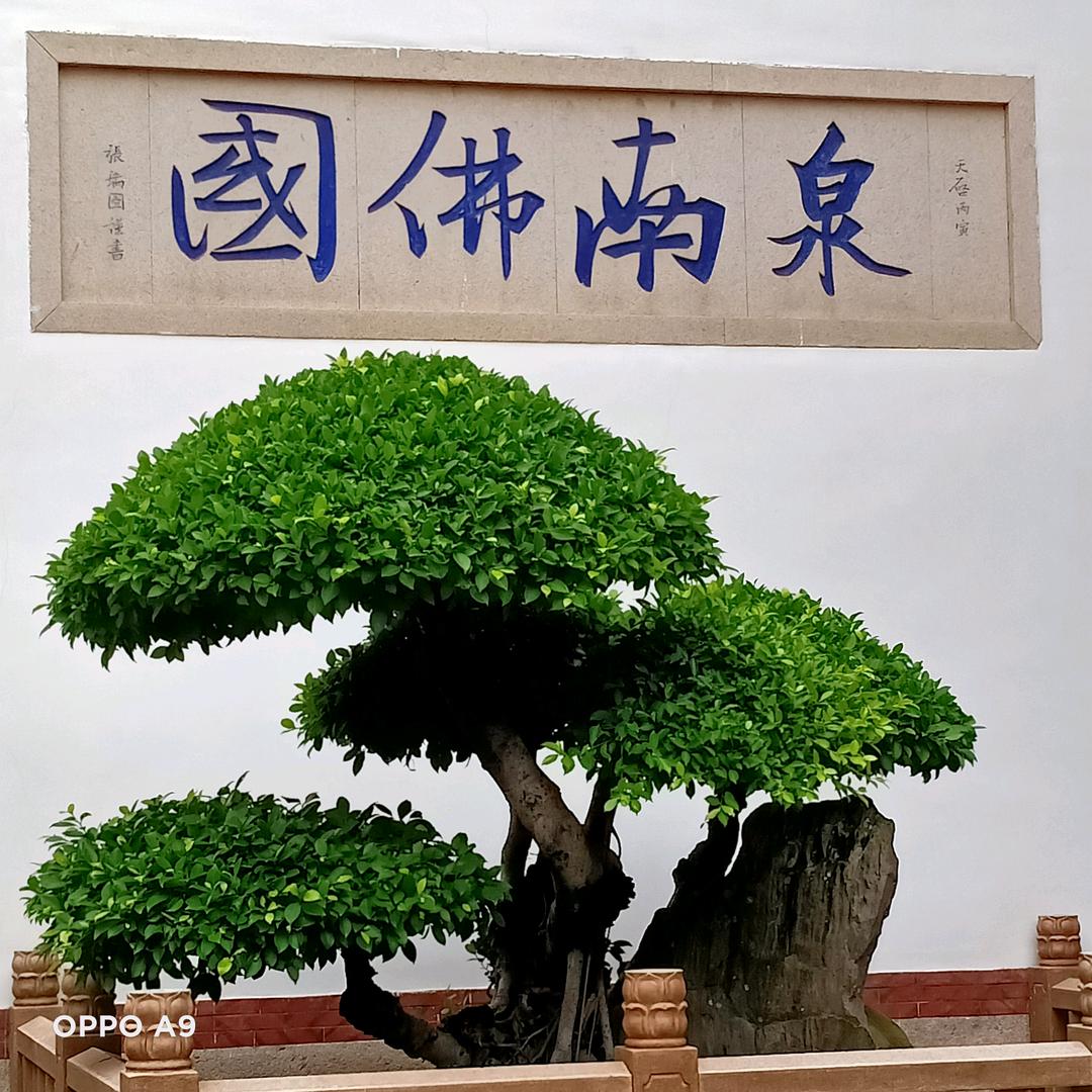 保你成功