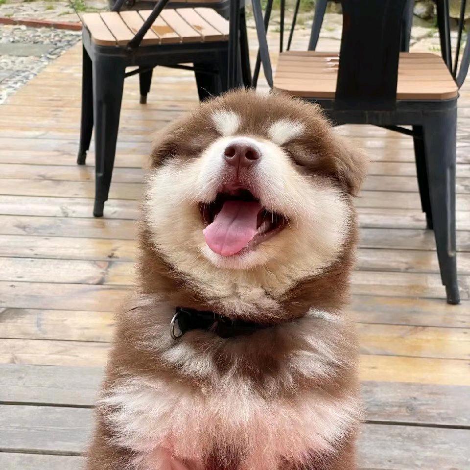 次吉