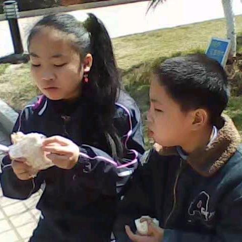 梦如人生
