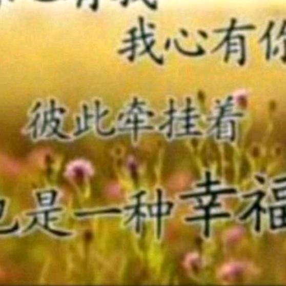 静静🐰