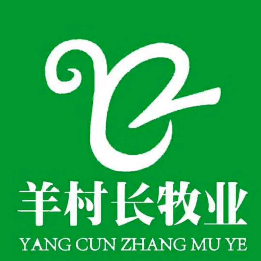 羊村长牧业