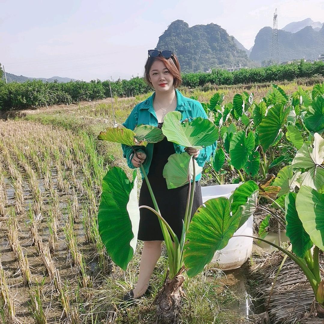 李阿姨农特产