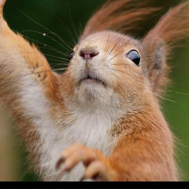 拔光头发换酒钱