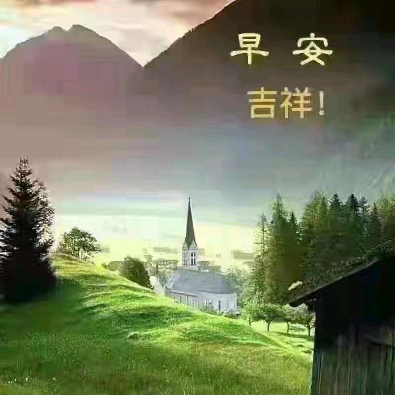鹅鹅鹅