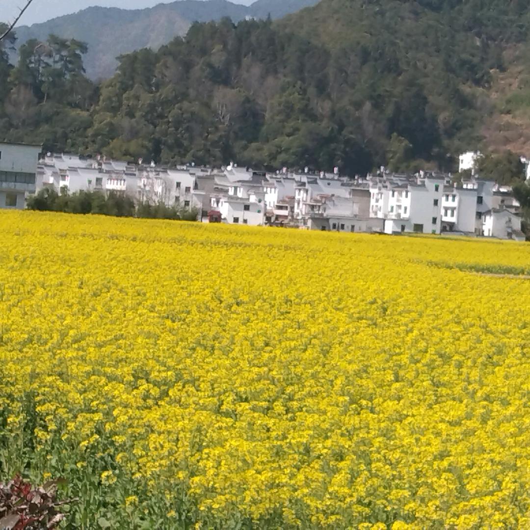 清华园姐妹早点（由义岭疏菜）