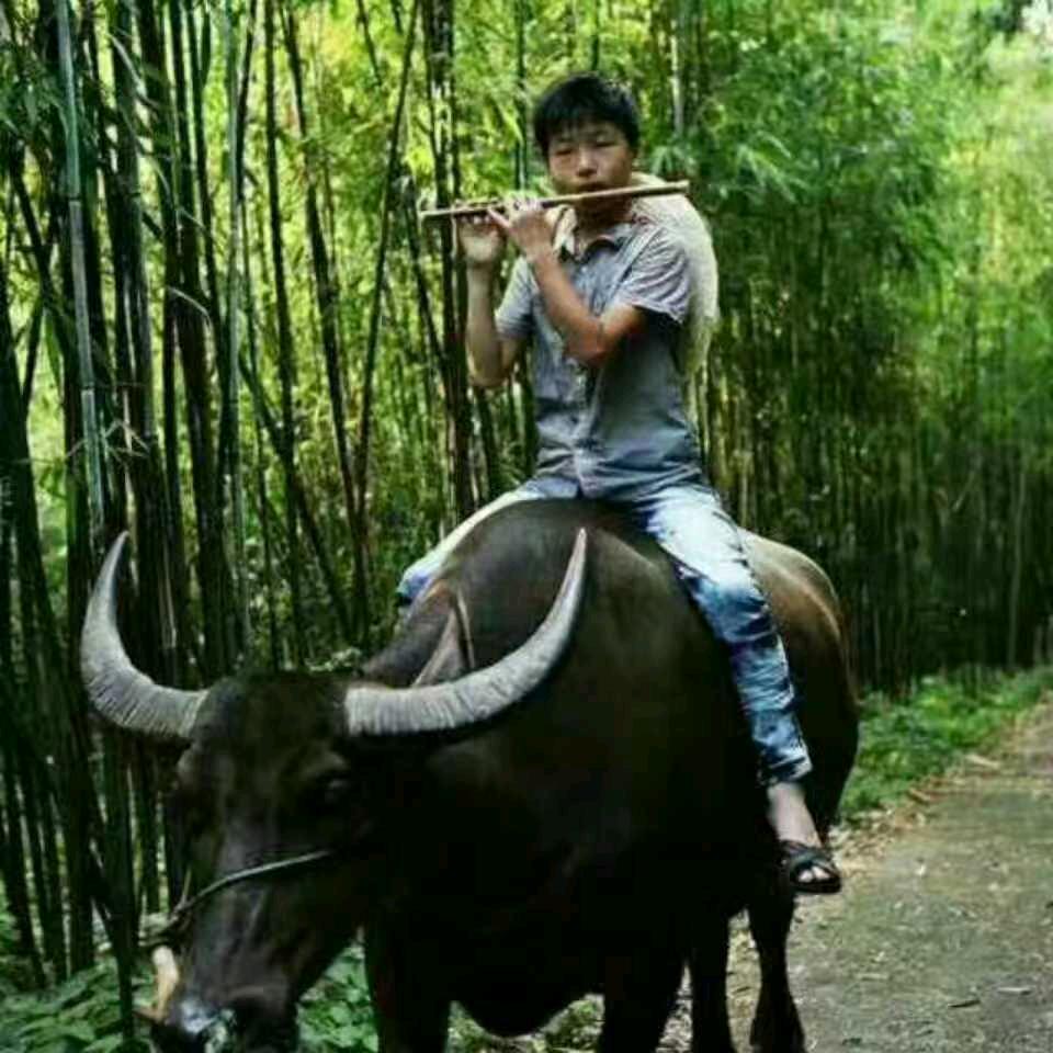 心烦的时候。回想往事一身伤