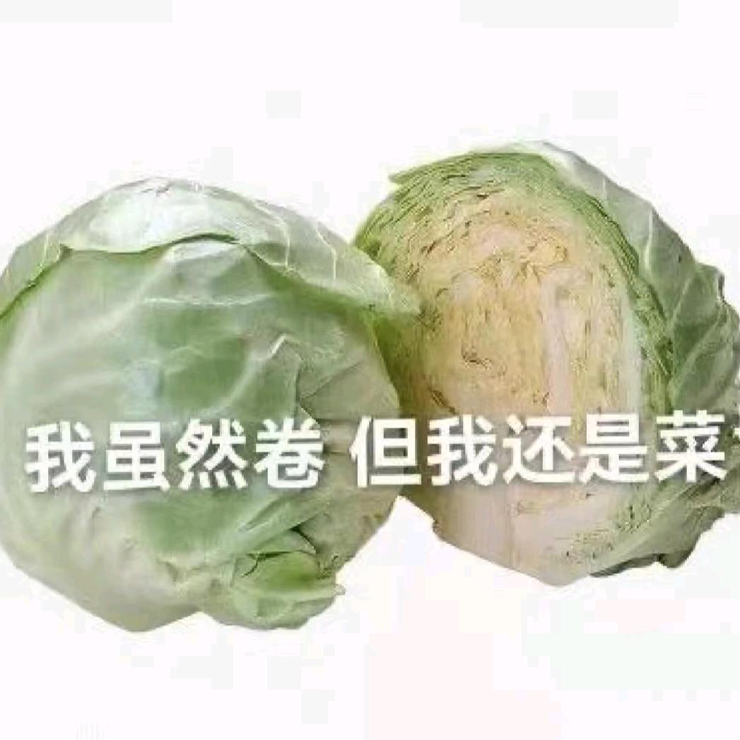 小晋