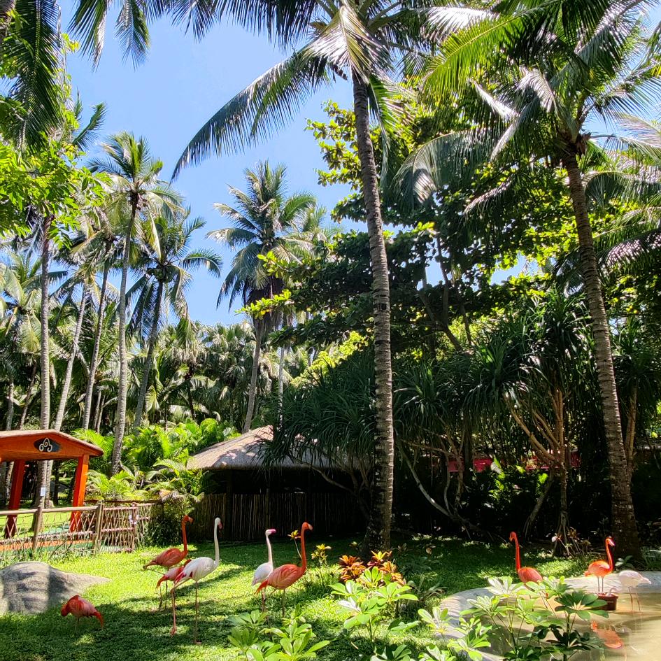 吃饭睡觉打木木