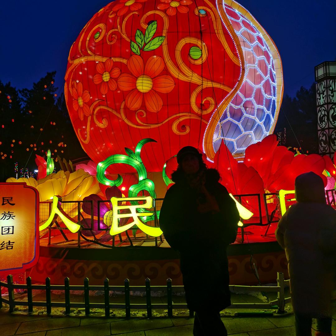 绽放梅花