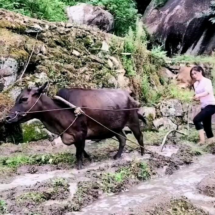 打工妹
