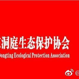 洞庭守护者