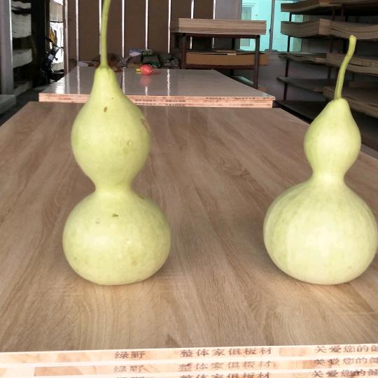 缘在转角处