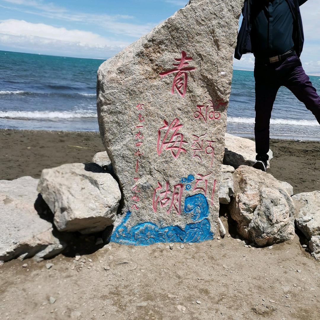 飞龙在天🐉🐉🐉🐉🐉🐉🐉🐉