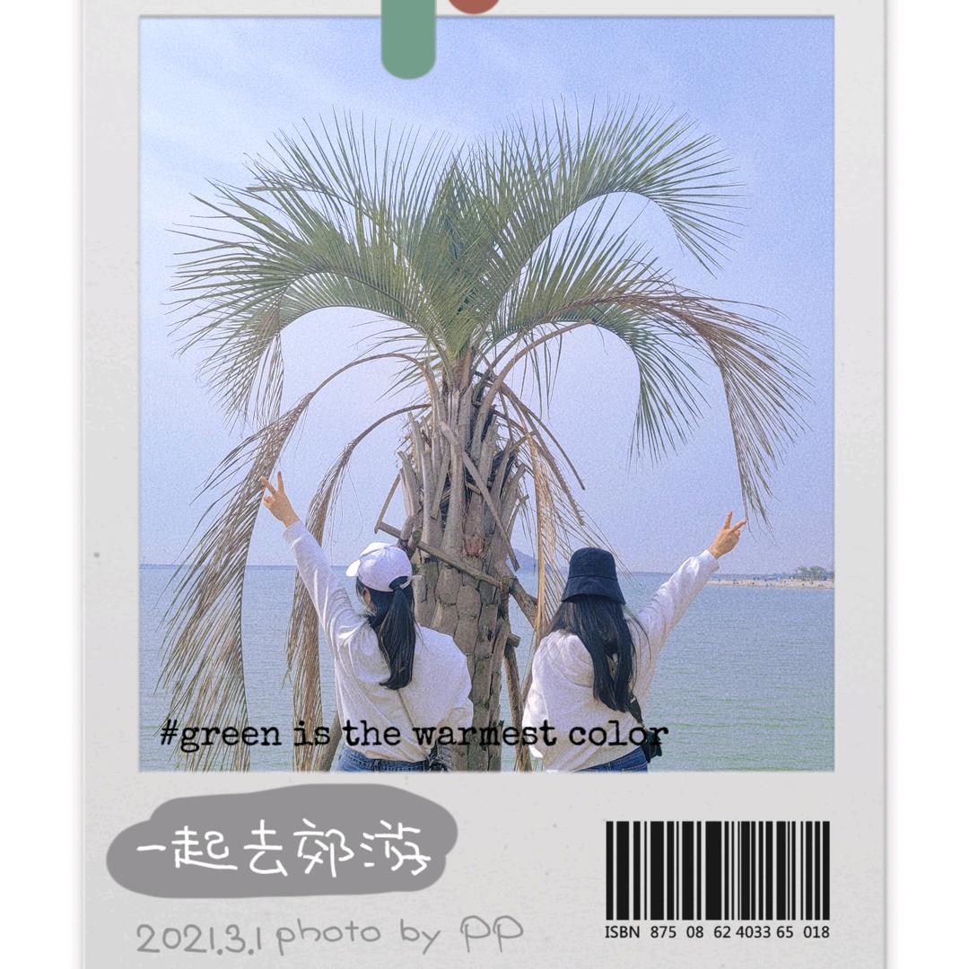 诠释淡然
