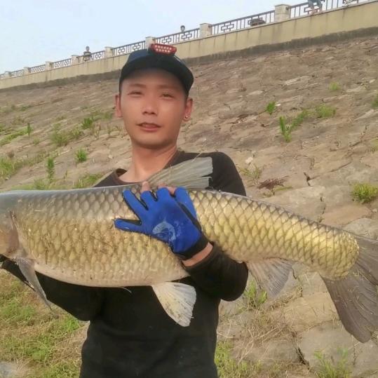 小马钓鱼