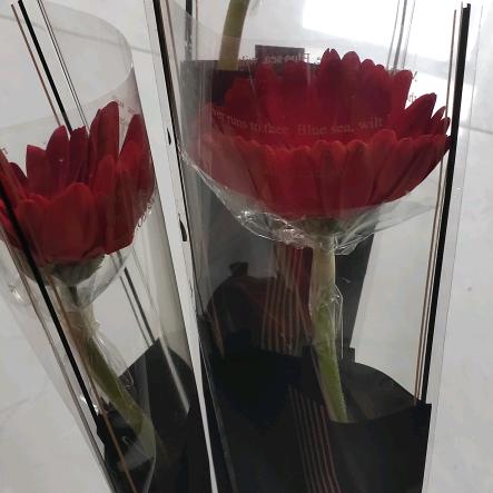 开心快乐！